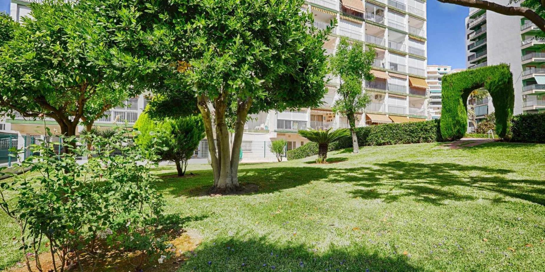 Apartamento Brasil Mar Playa de Gandia Exterior photo